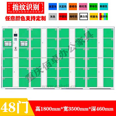 48門果綠指紋系統(tǒng)